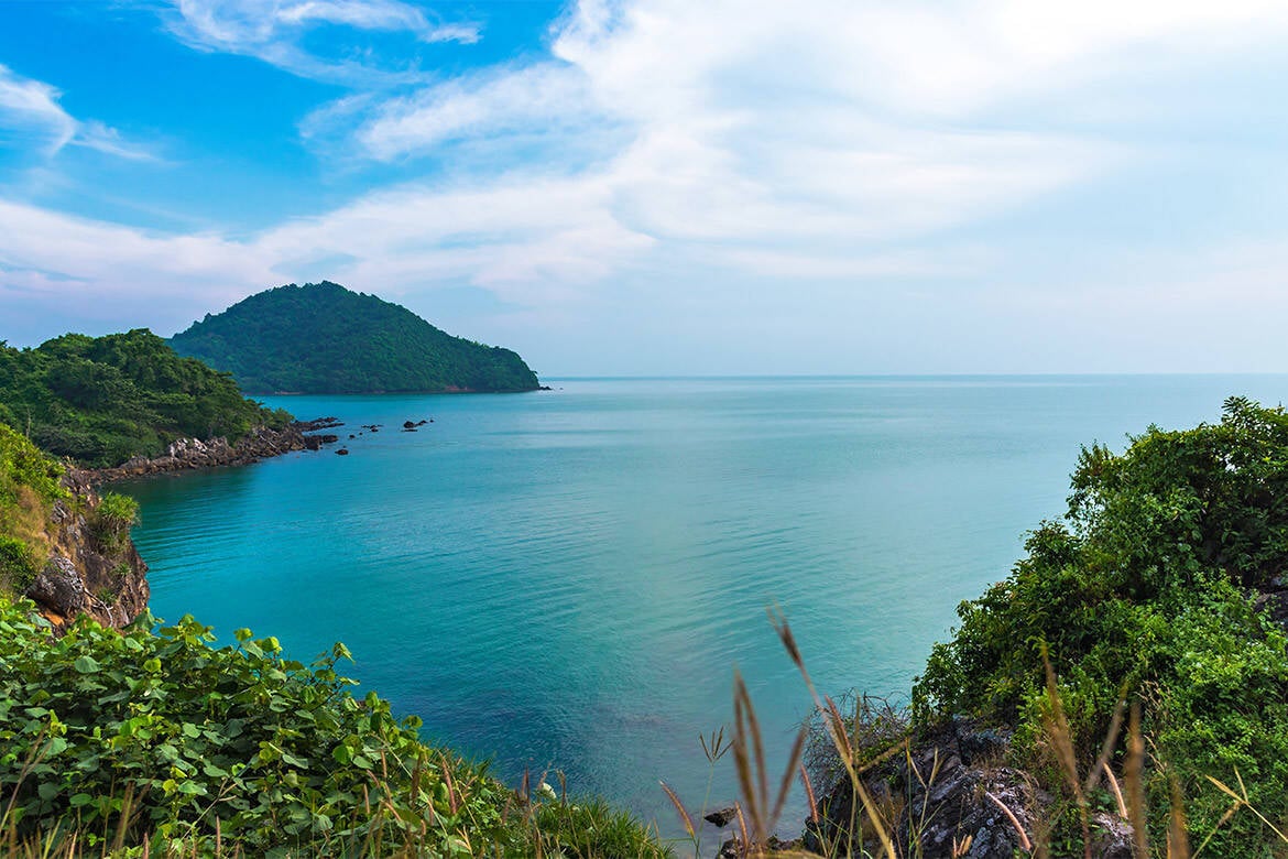 picture1-1 picture1-1